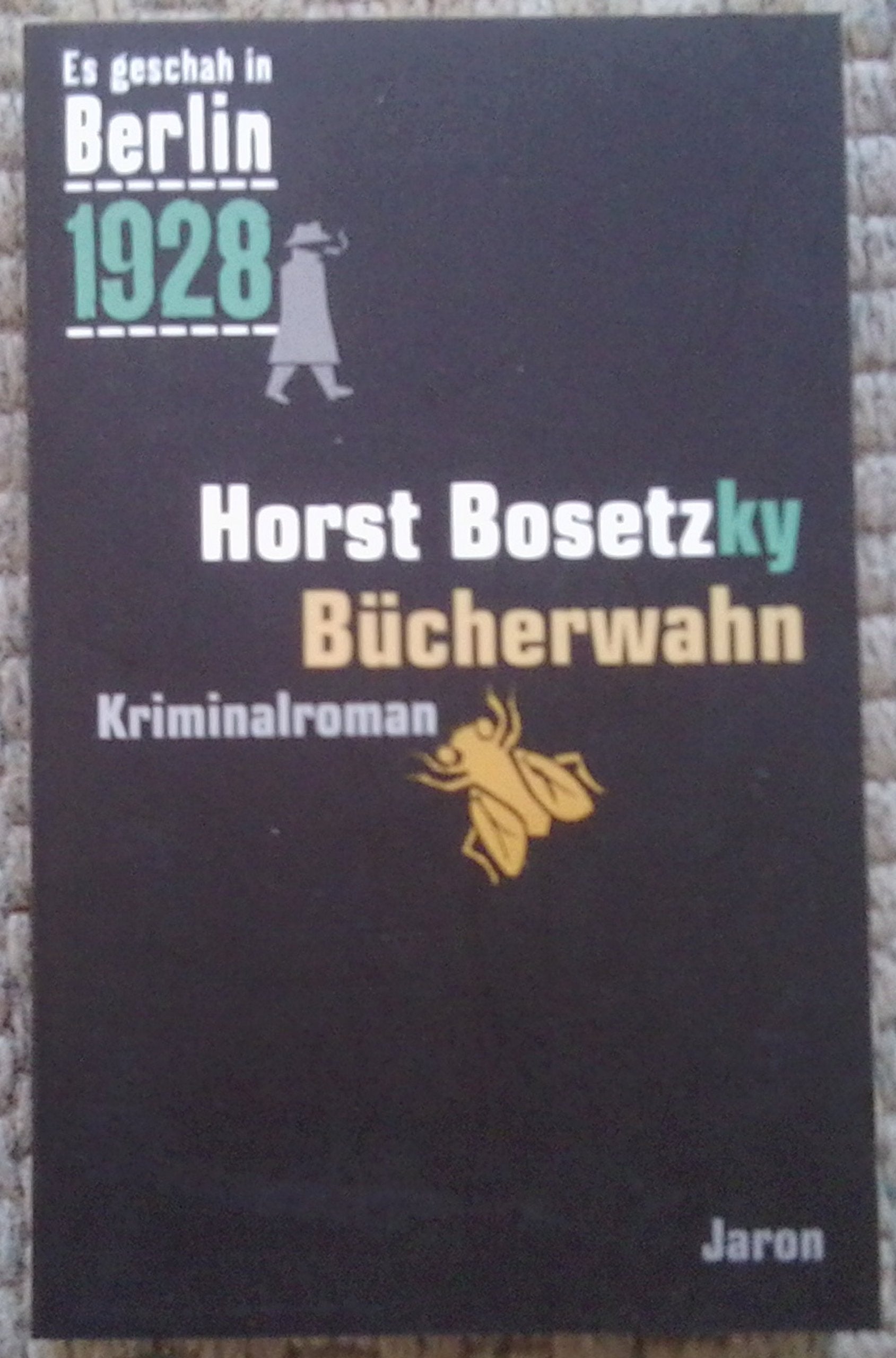 Es geschah in Berlin 1928 - Bücherwahn Historical Fiction