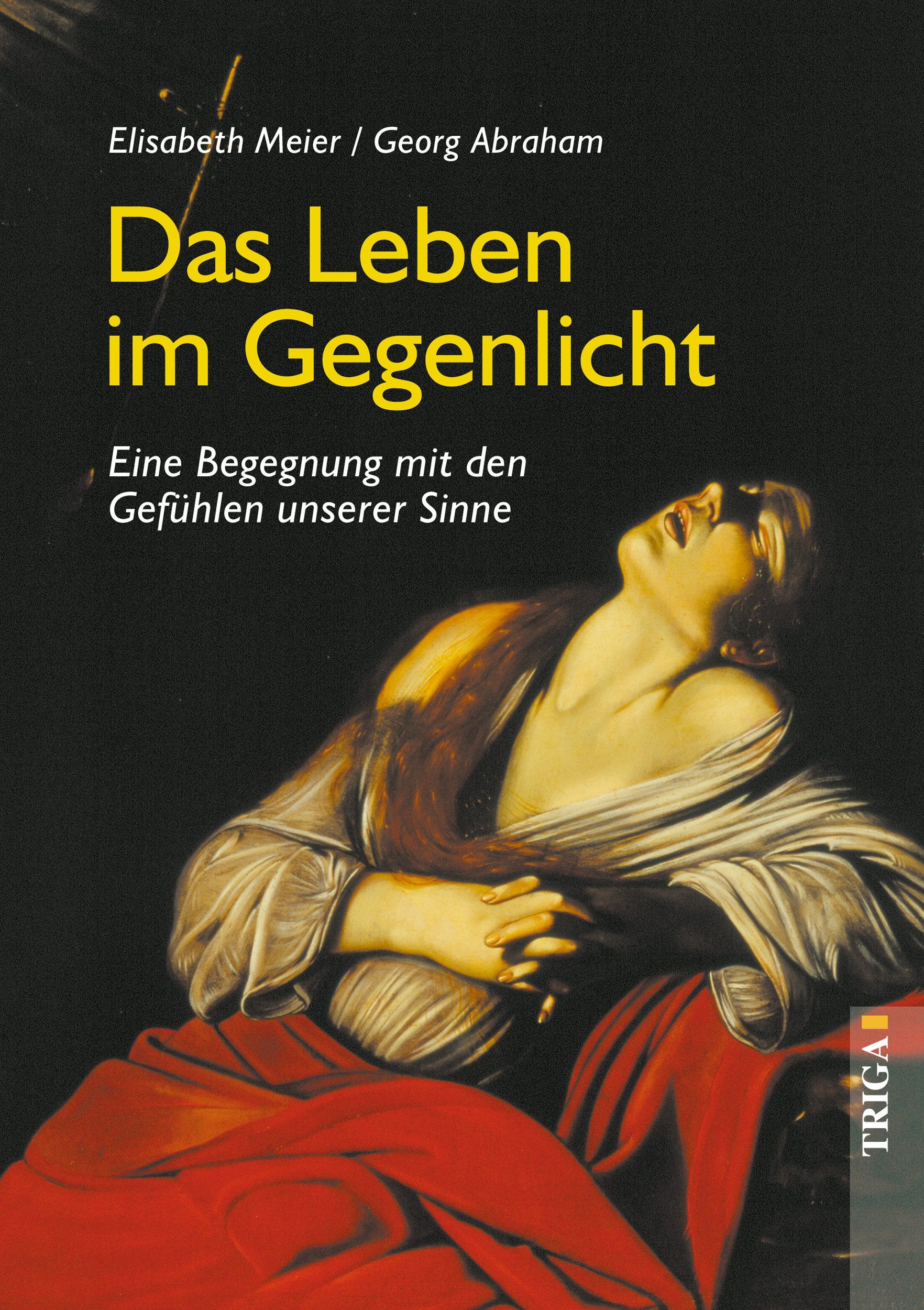 Product Image: Das Leben im Gegenlicht.