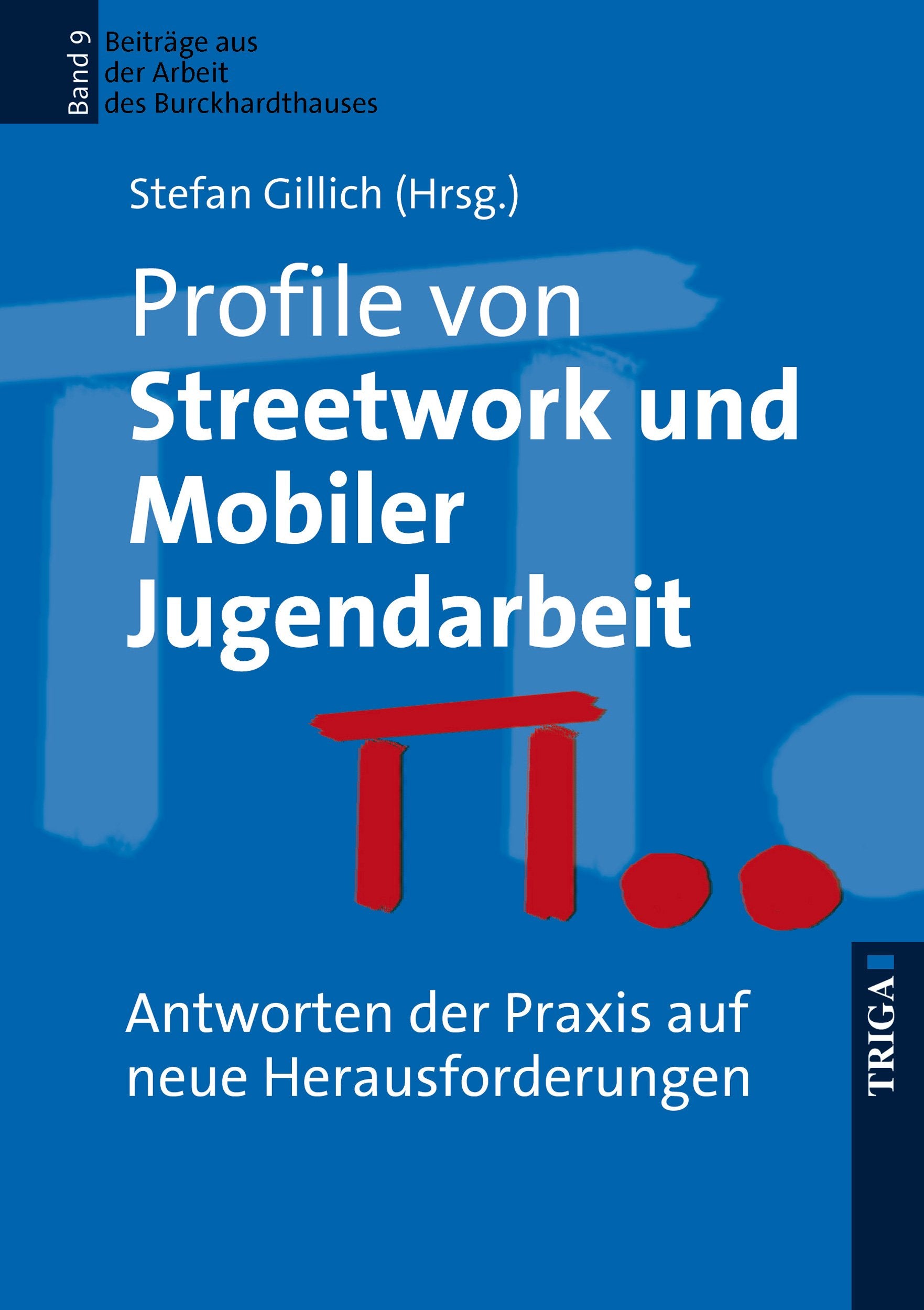 Profile von Streetwork / Mobile Jugendarbeit: Sich neuen Herausforderungen stellen Books