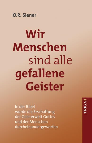 Wir Menschen sind alle gefallene Geister: In der Bibel wurde die Erschaffung der Geisterwelt Gottes und der Menschen durcheinandergeworfen Religion & Esotericism
