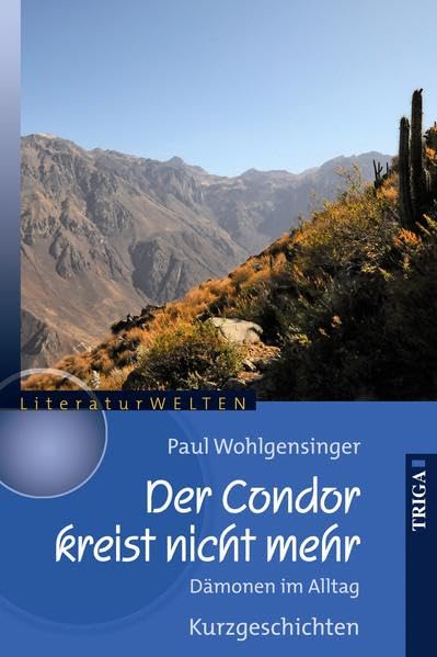 Der Condor kreist nicht mehr Essays & Short Stories