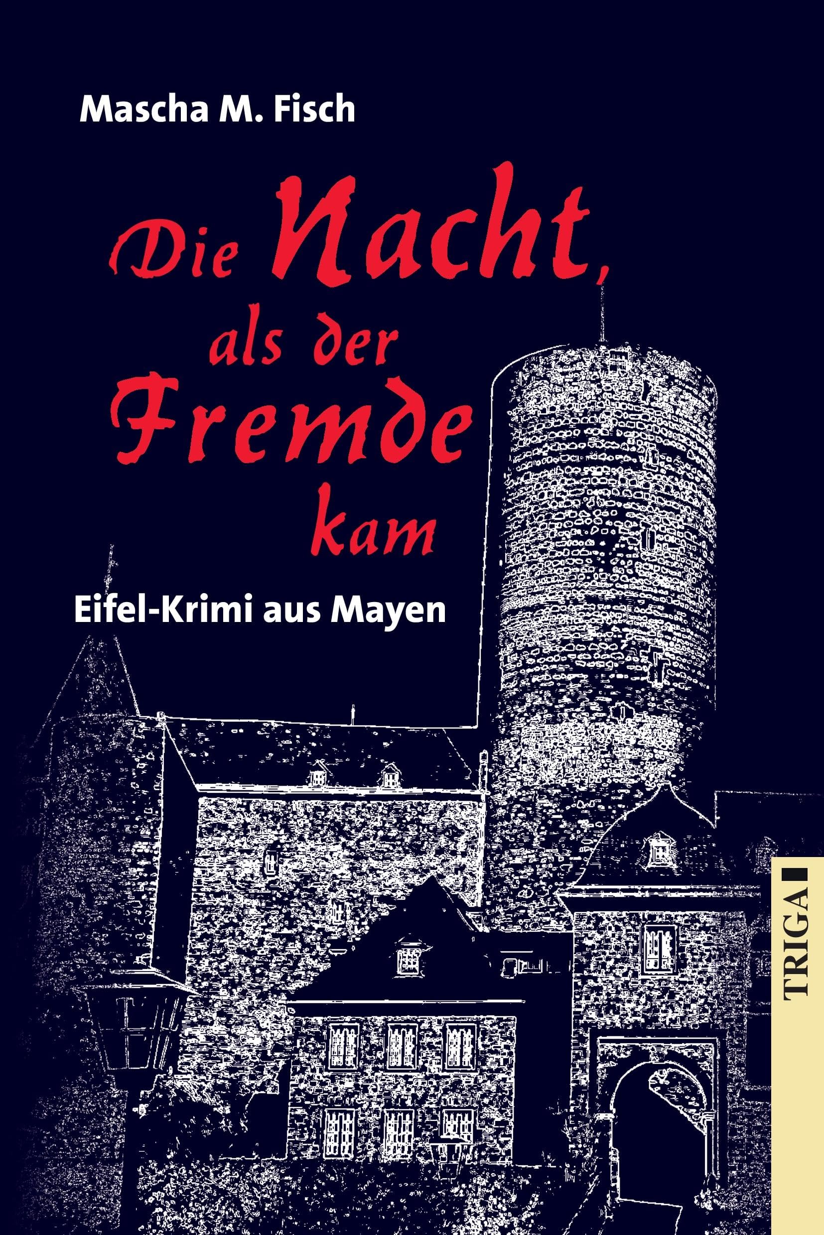 Die Nacht, als der Fremde kam Contemporary literature