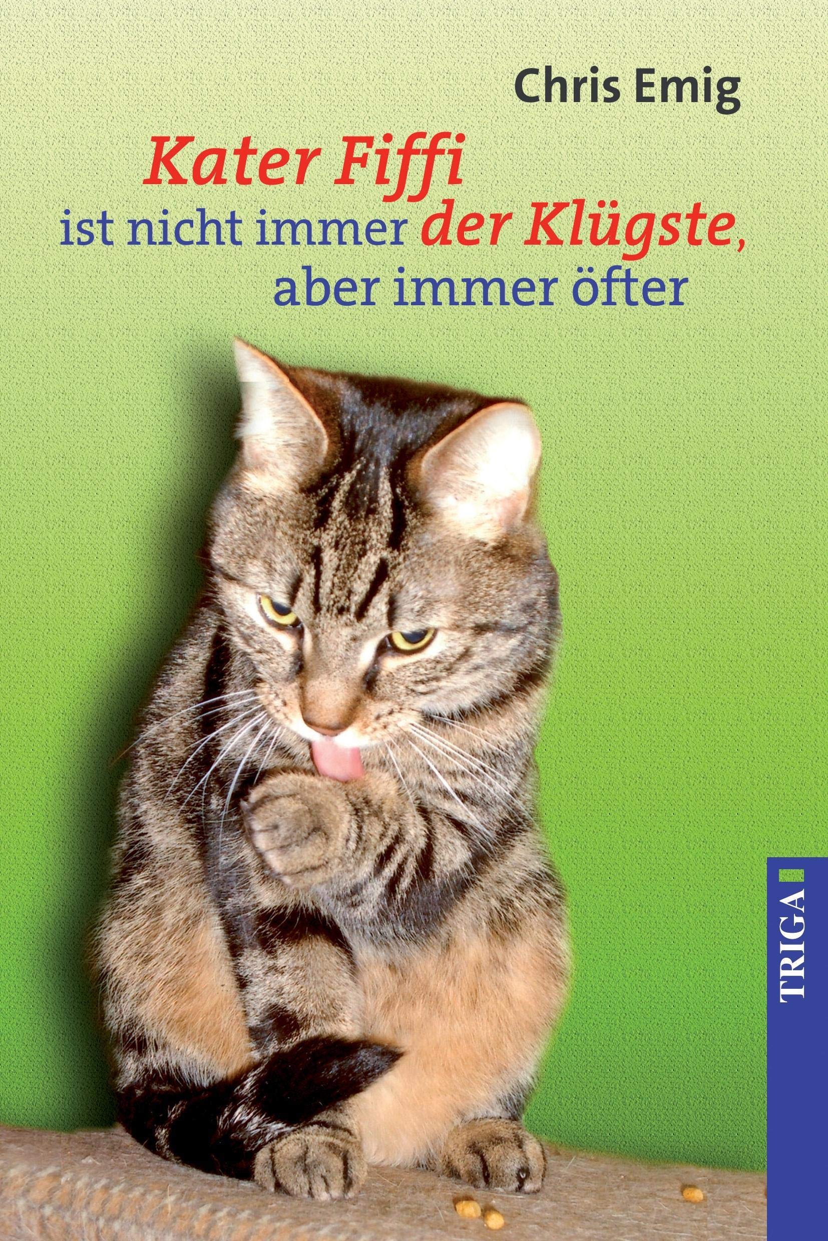 Kater Fiffi ist nicht immer der Klügste, aber immer öfter Fiction