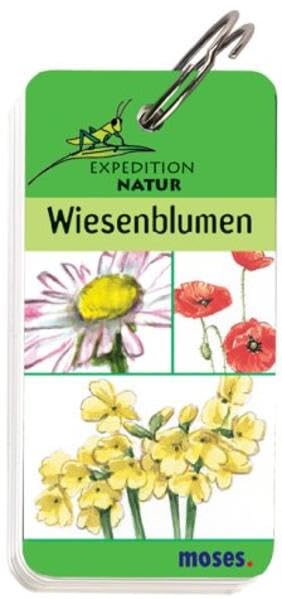 Expedition Natur - Wiesenblumen Non-fiction
