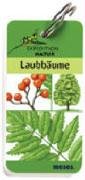 Expedition Natur - Laubbäume Non-fiction