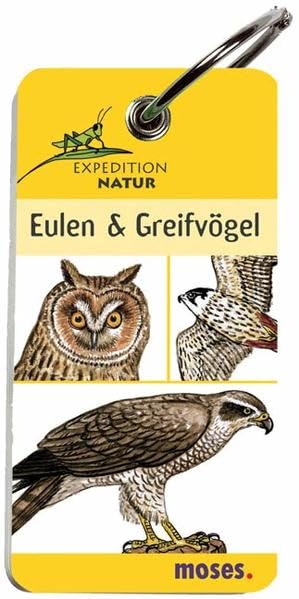 Expedition Natur - Eulen und Greifvögel Non-fiction
