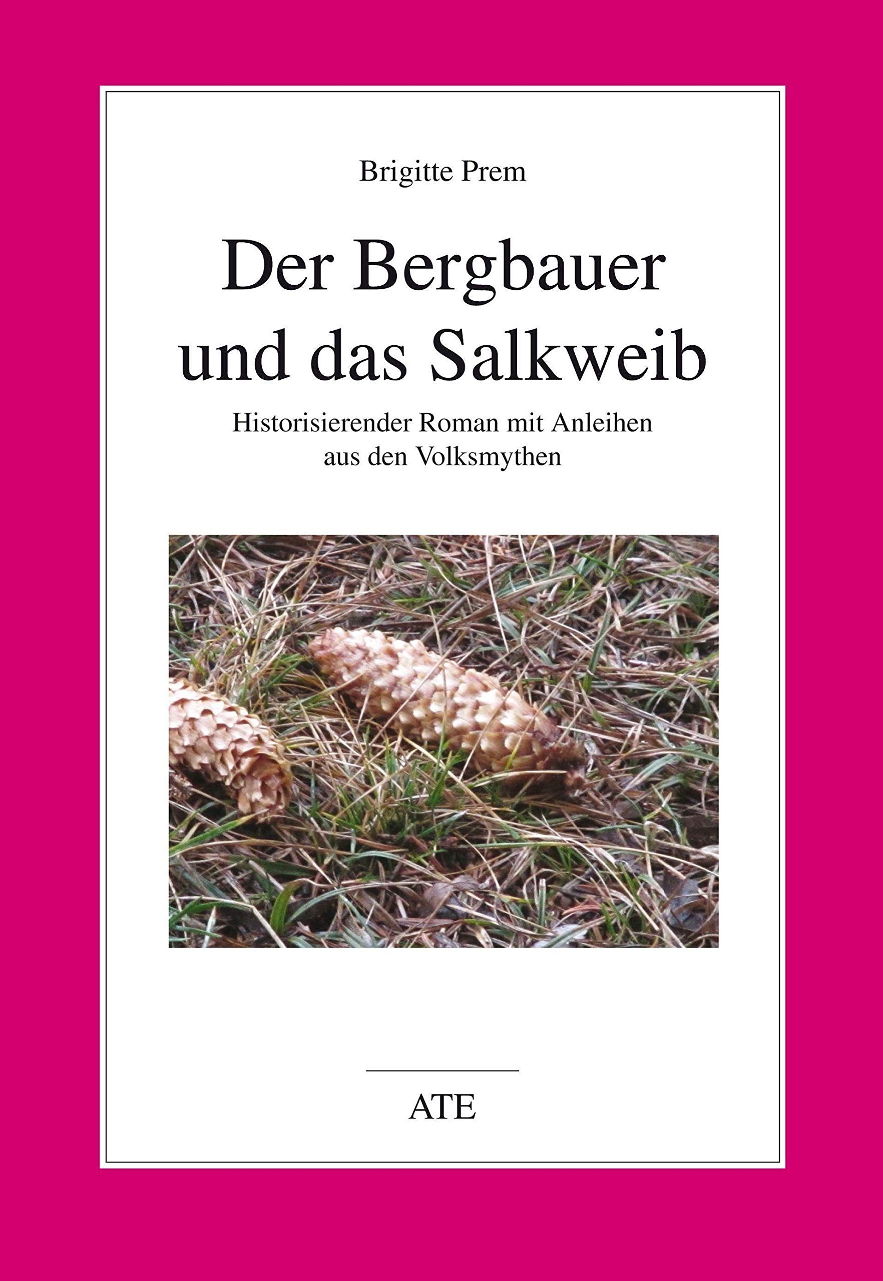 Der Bergbauer und das Salkweib: Historisierender Roman mit Anleihen aus den Volksmythen book