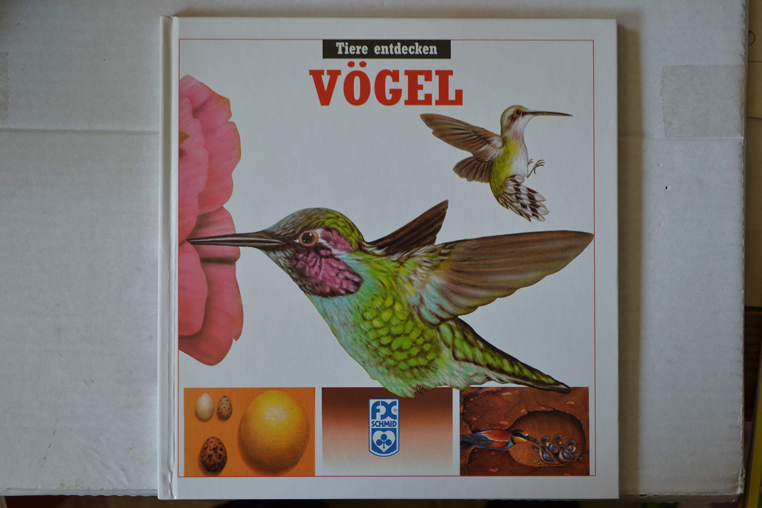 Vögel (F.X. Schmid - "Tiere entdecken", Band 5) Books
