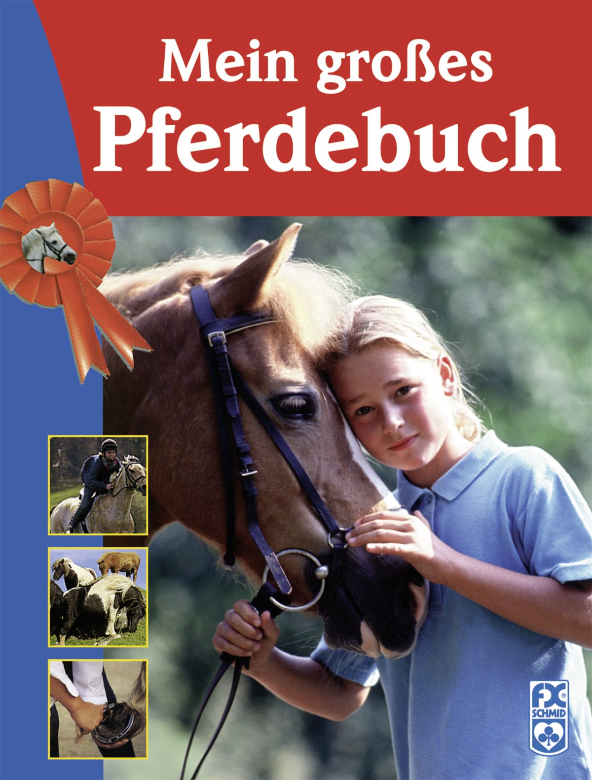 Mein großes Pferdebuch Non-fiction