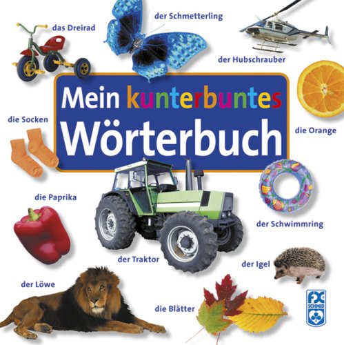 Mein kunterbuntes Wörterbuch Learning & Reference Books