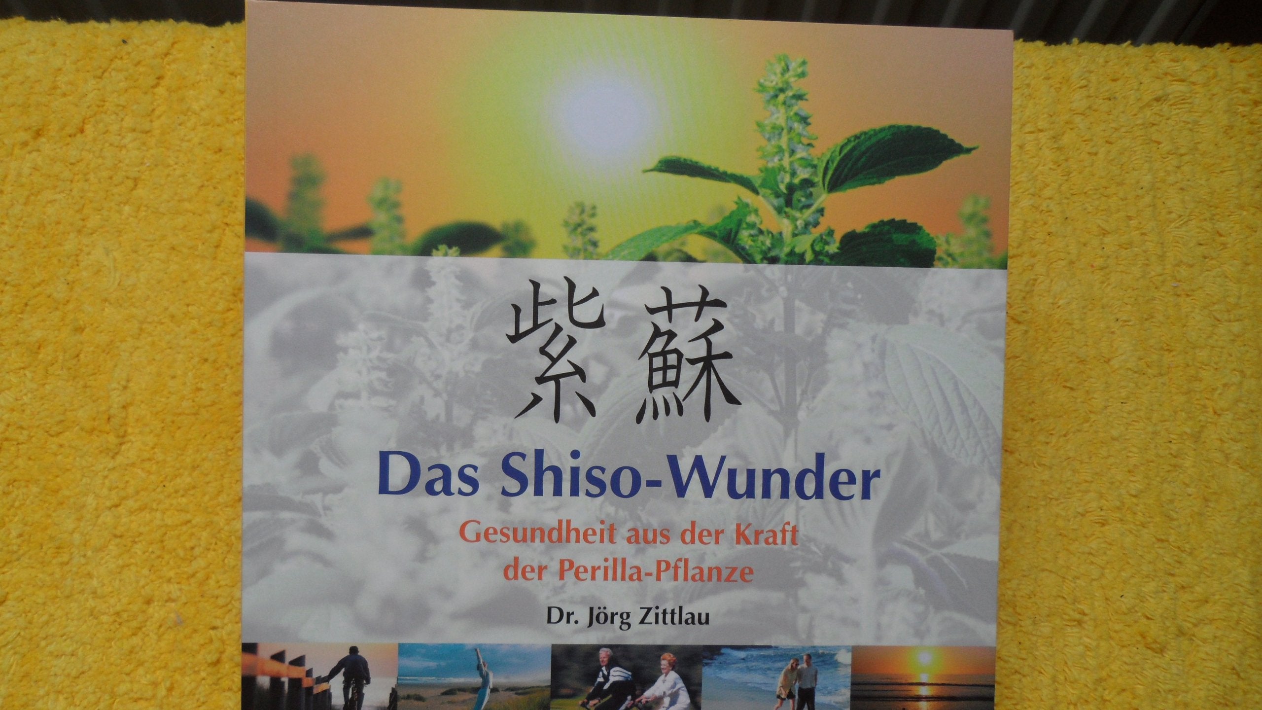 Das Shiso-Wunder Gesundheit aus der Kraft der Perilla-Pflanze Books