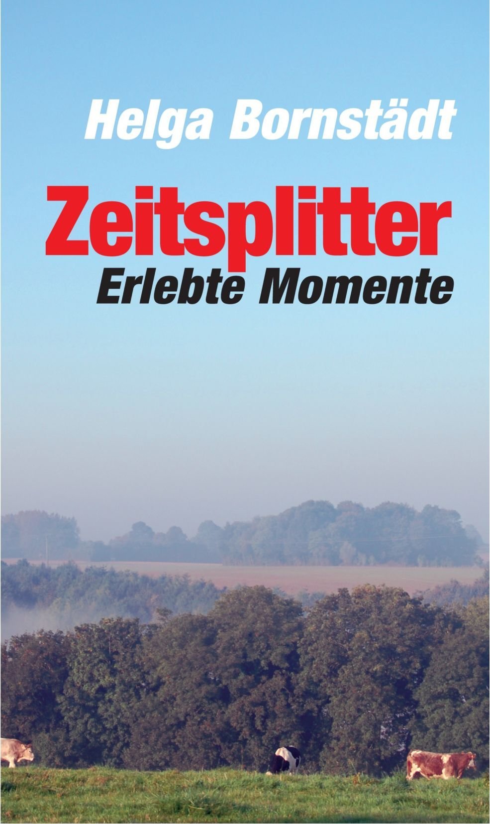 Zeitsplitter: Erlebte Momente (Verlag am Park) Contemporary literature