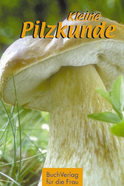 Kleine Pilzkunde Lifestyle