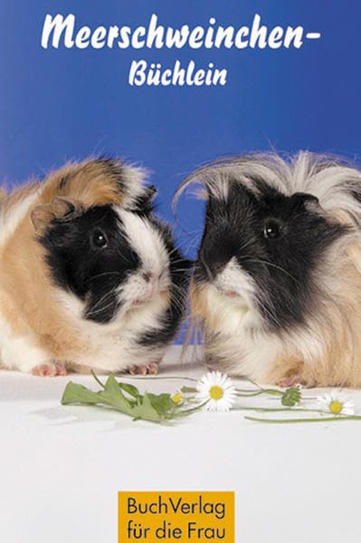 Meerschweinchen-Büchlein Lifestyle