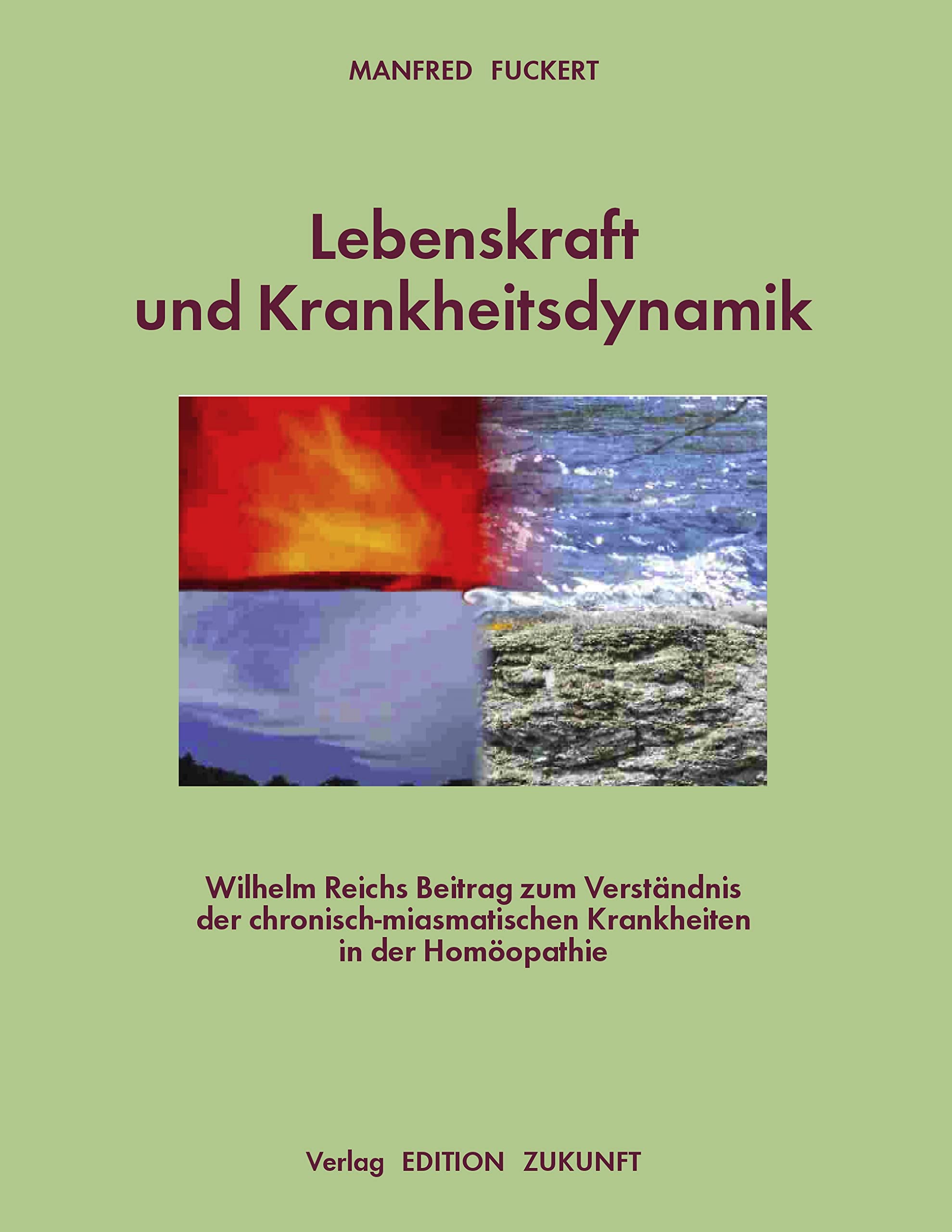 Lebenskraft und Krankheitsdynamik: Wilhelm Reichs Beitrag zum Verständnis der chronisch-miasmatischen Krankheiten in der Homöopathie Medicine