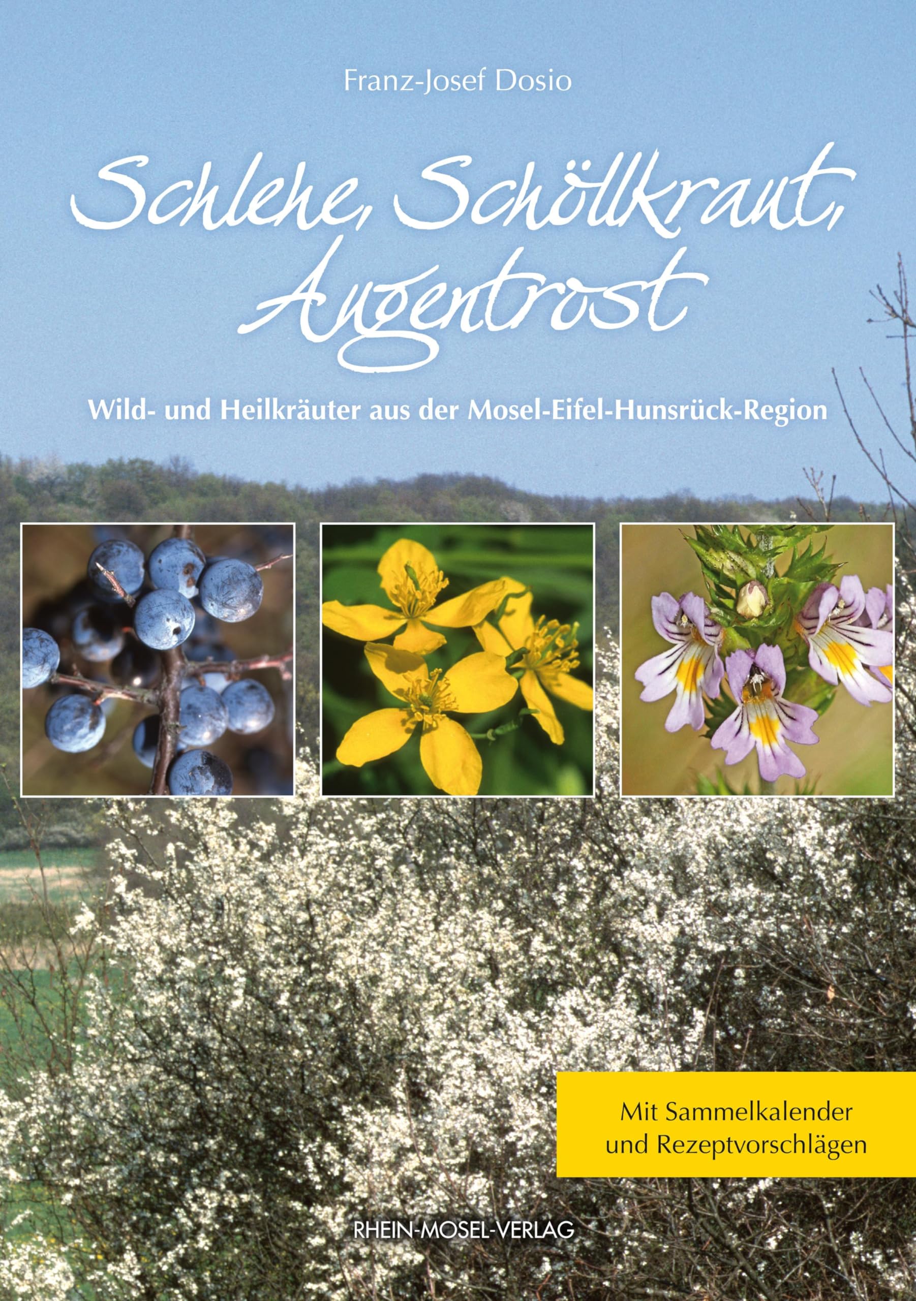 Schlehe, Schöllkraut, Augentrost Leisure, Home & Garden