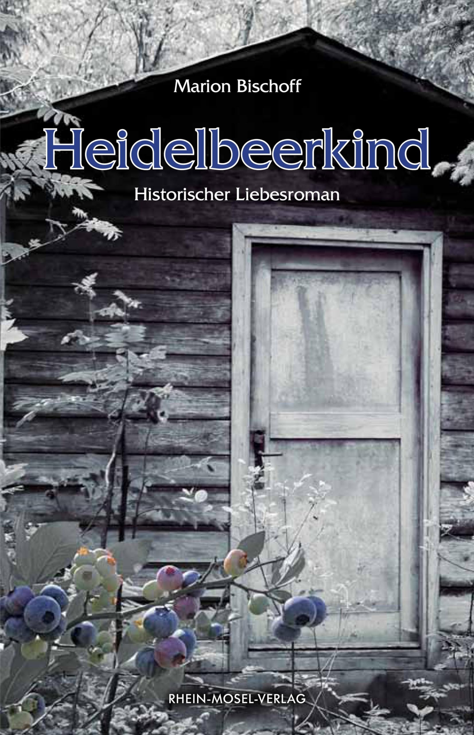 Heidelbeerkind Contemporary literature Books