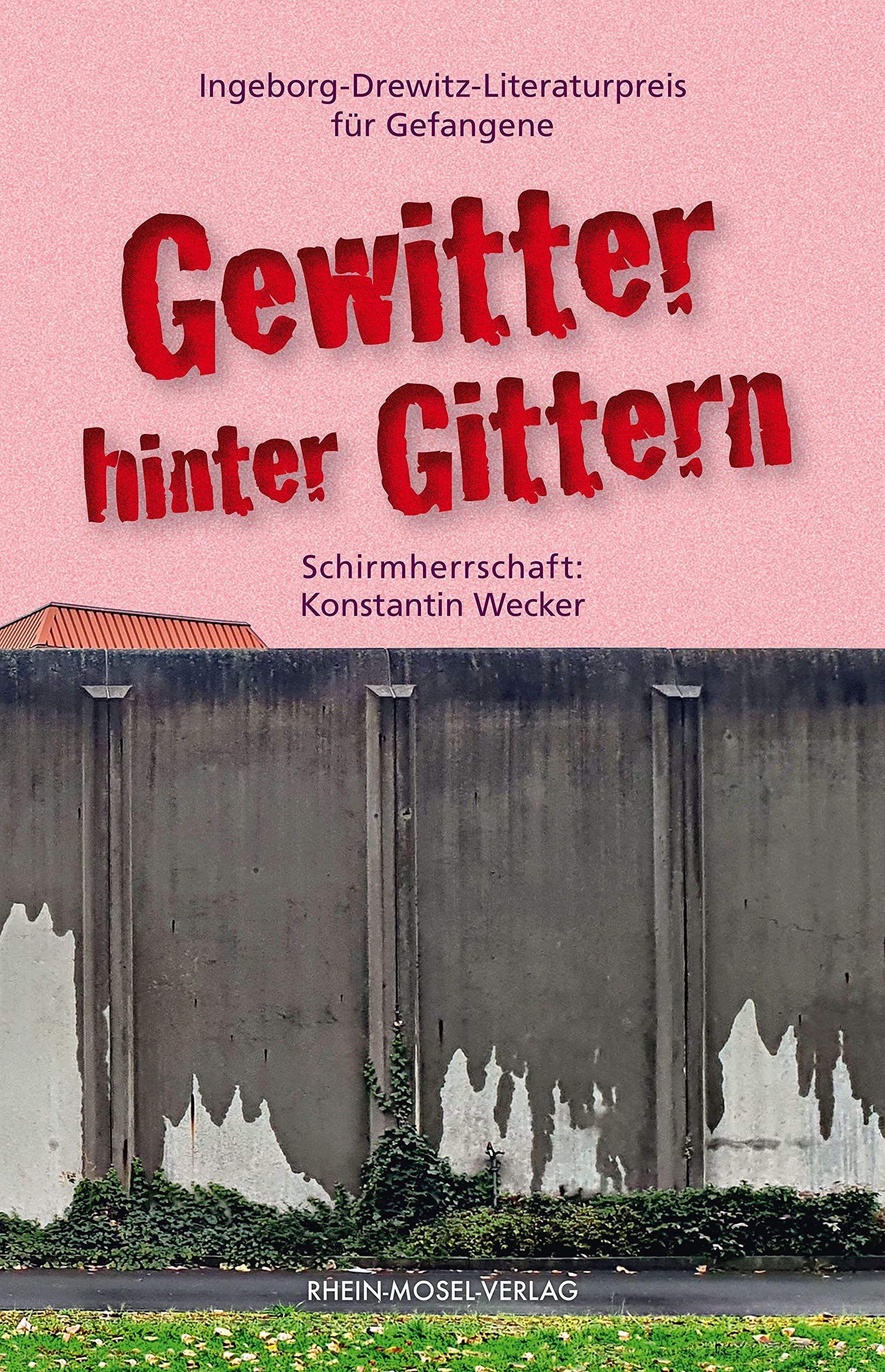 Gewitter hinter Gittern: Ingeborg-Drewitz-Literaturpreis für Gefangene Essays & Short Stories