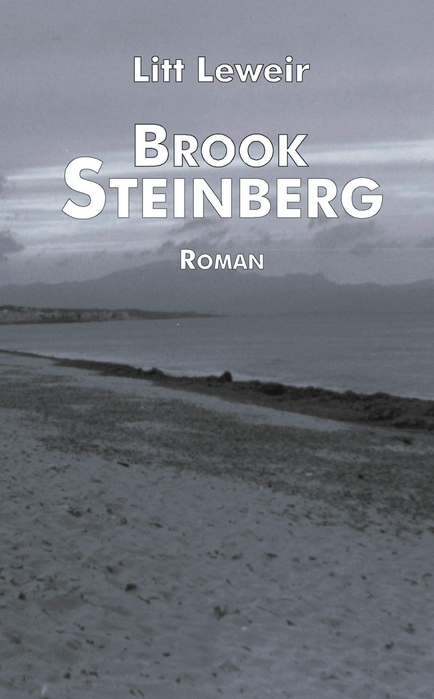Brook Steinberg. Roman (Book on Demand) Contemporary literature