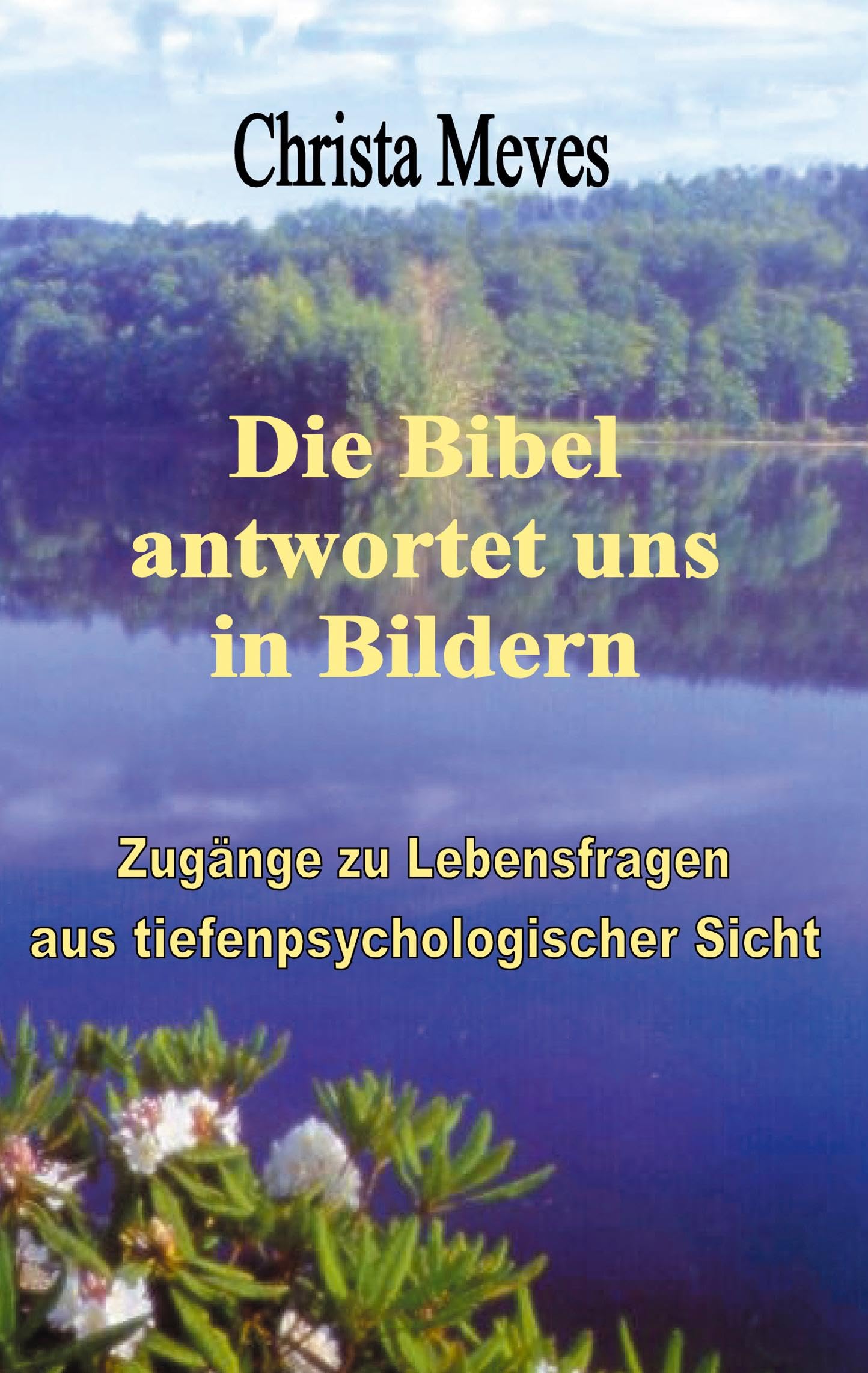 Die Bibel antwortet uns in Bildern Reference Books