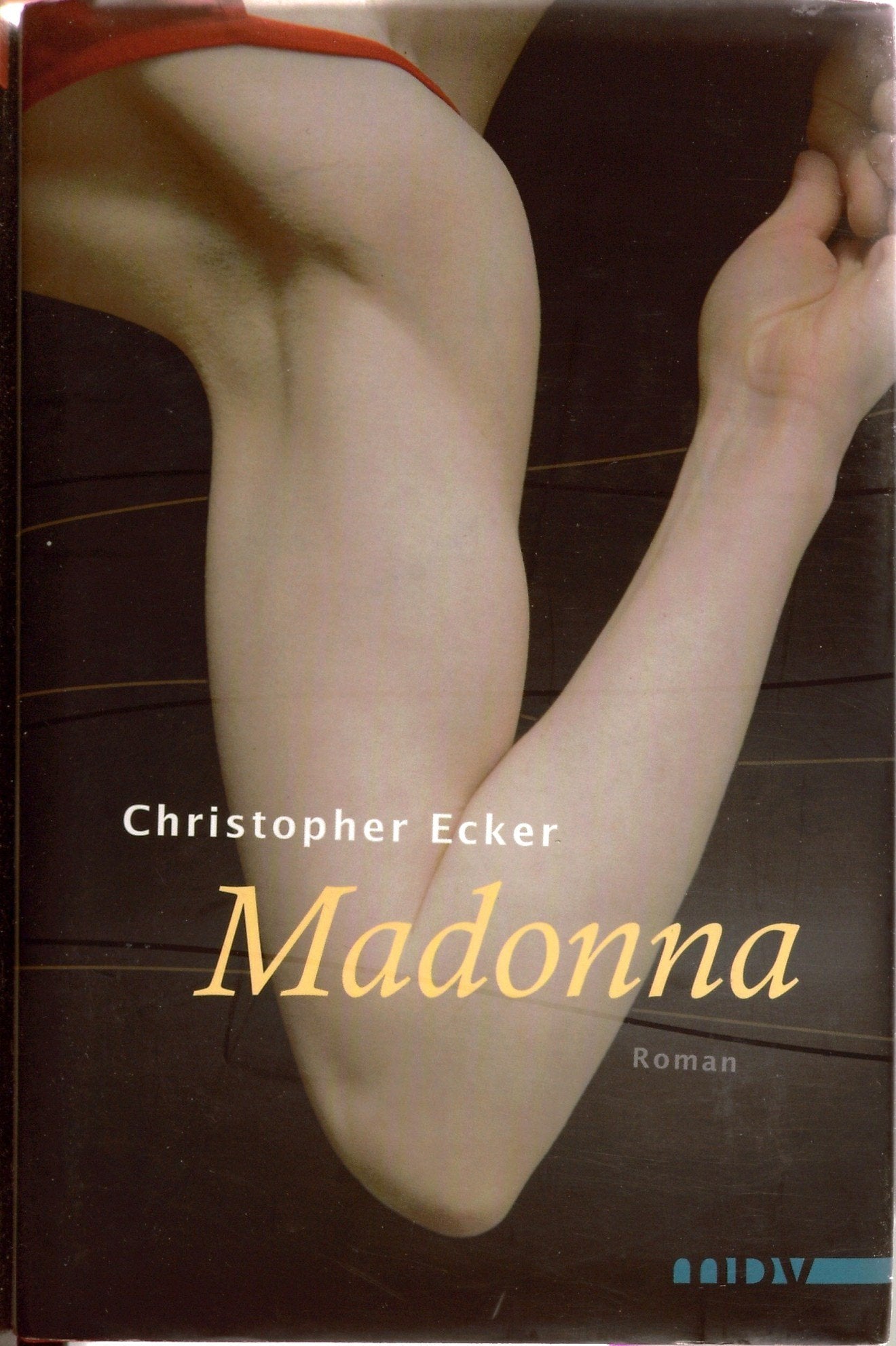 Madonna Contemporary literature Books