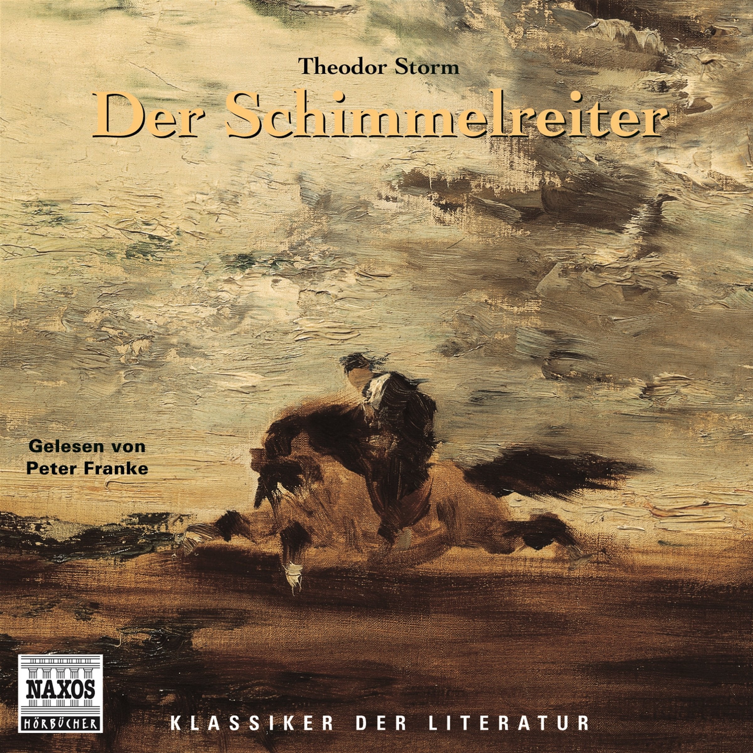 Der Schimmelreiter: 293 Min Books
