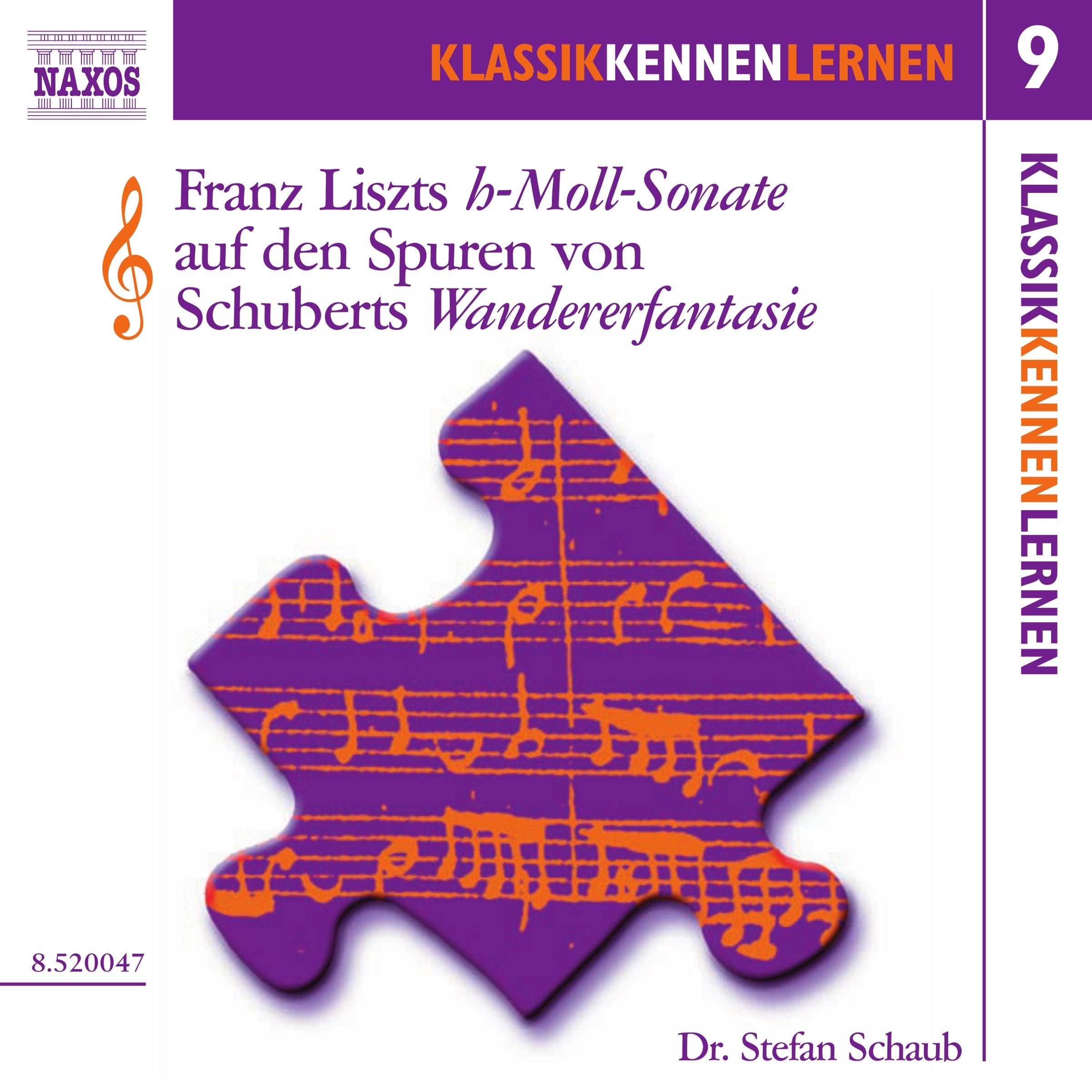 Die h-Moll-Sonate von Liszt auf den Spuren von Schuberts Wandererfantasie, 1 Audio-CD Arts & Music