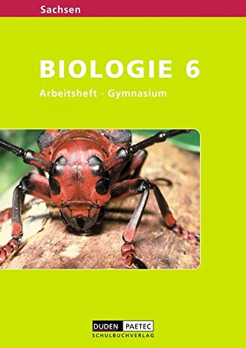 Level Biologie - Gymnasium Sachsen / 6. Schuljahr - Arbeitsheft Study Guides