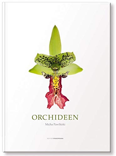 Orchideen Photography
