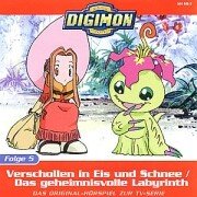 Verschollen im Eis und Schnee. Das geheimnisvolle Labyrinth, 1 Audio-CD: 43 Min. Novels & Short Stories