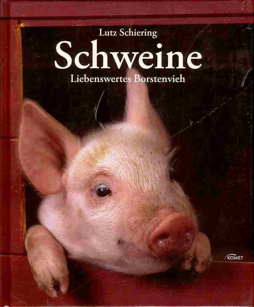 Schweine: Liebenswertes Borstenvieh Leisure, Home & Garden