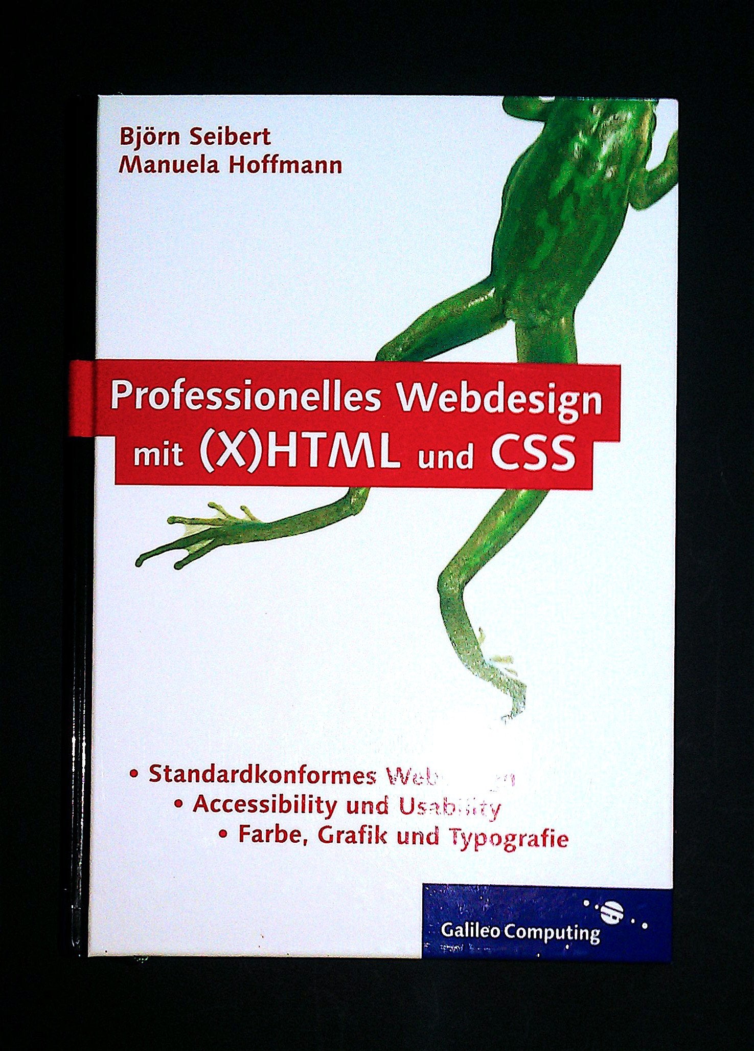 Professionelles Webdesign mit (X)HTML und CSS: Standardkonformität, Accessibility und Usability, Farbe, Grafik und Typografie (Galileo Computing) Computer Science