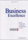 Business Excellence: Entwicklungsstufen - Wettbewerbsvorteile - Wertsteigerung Business, Finance & Career