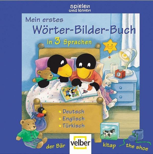 Mein erstes Wörter-Bilder-Buch in 3 Sprachen: Deutsch - Englisch - Türkisch (spielen und lernen Förderbilderbuch) Foreign Languages ​​& Dictionaries