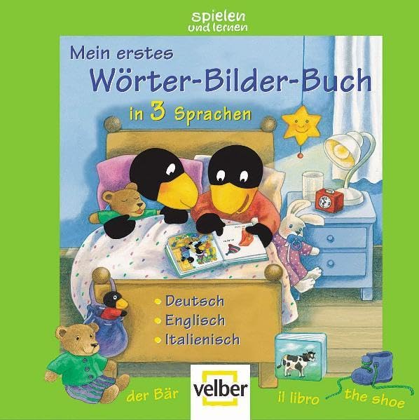 Mein erstes Wörter-Bilder-Buch in 3 Sprachen: Deutsch - Englisch - Italienisch Foreign Languages ​​& Dictionaries