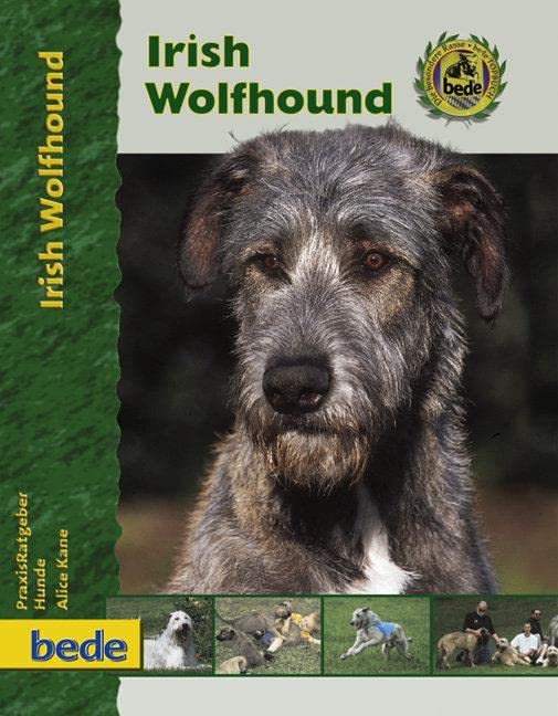 Irish Wolfhound, Praxisratgeber Pets
