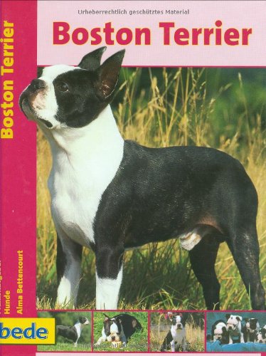 Boston Terrier, Praxisratgeber Pets