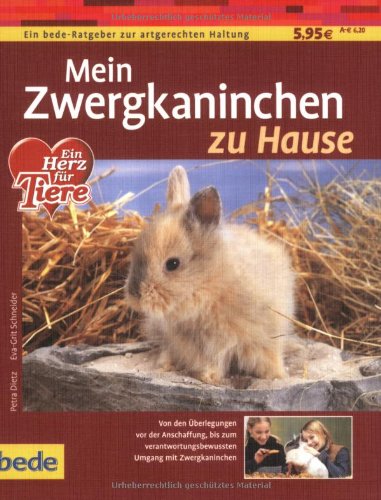Mein Zwergkaninchen zu Hause: Von den Überlegungen von der Anschaffung, bis zum verantwortungsbewussten Umgang mit einem Zwergkaninchen Pets