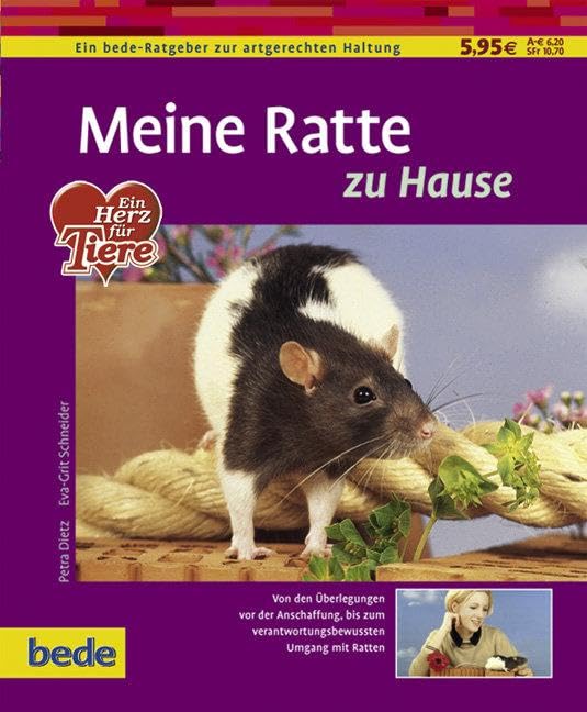 Meine Ratte zu Hause Pets