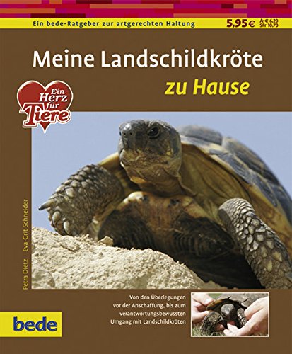 Landschildkröte, zu Hause Pets