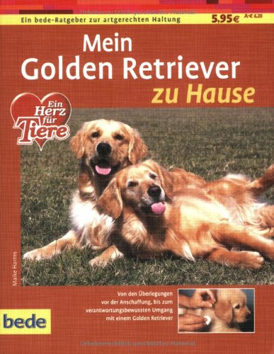 Golden Retriever, zu Hause Pets