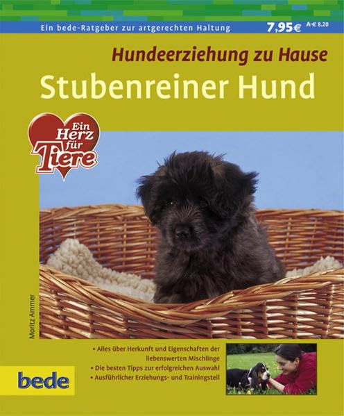 Stubenreiner Hund Pets