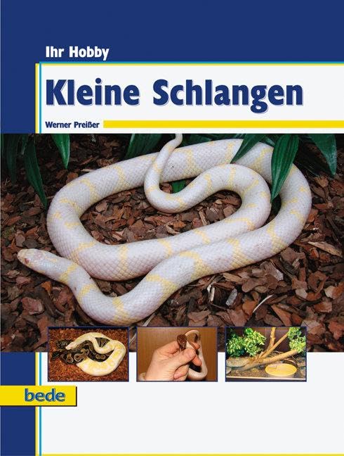 Ihr Hobby Kleine Schlangen Pets