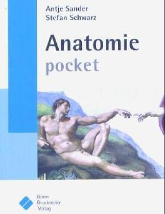 Anatomie pocket Medicine