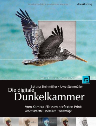 Die digitale Dunkelkammer: Vom Kamera-File zum perfekten Print - Arbeitsschritte, Techniken, Werkzeuge Photography