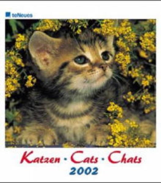 Kalender, Katzen: Fotokalender (Cats Calendar) Calendars