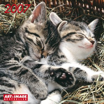 Chats 2004 cal 30x30 (Calendier 30x30) Calendars