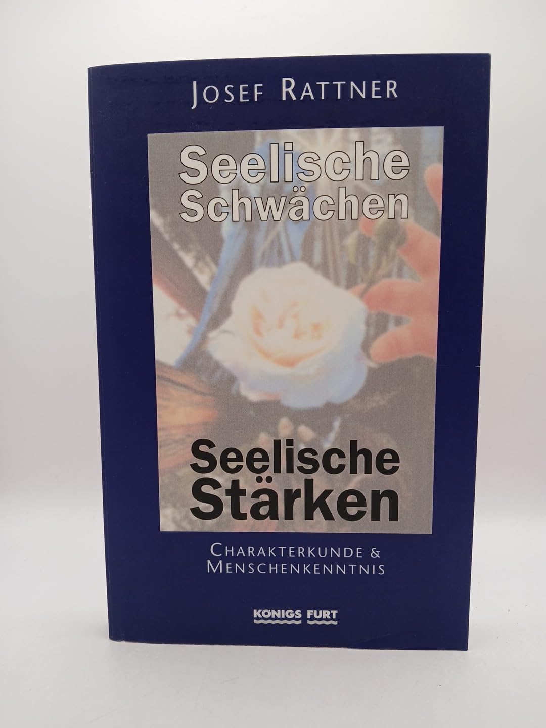 Seelische Schwächen - seelische Stärken: Charakterkunde und Menschenkenntnis (Basiswissen Tiefenpsychologie) Psychology