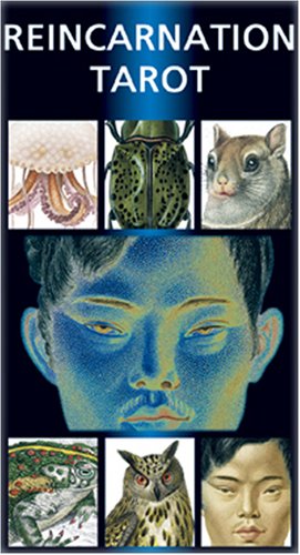 Tarot der Wiedergeburt, 78 Tarotkarten mit dt. Anleitung Religion & Esotericism