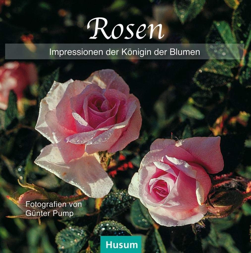 Rosen: Impressionen der Königin der Blumen Poetry